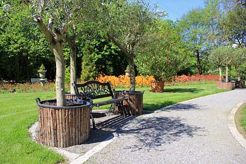 Therapien bei Krebs